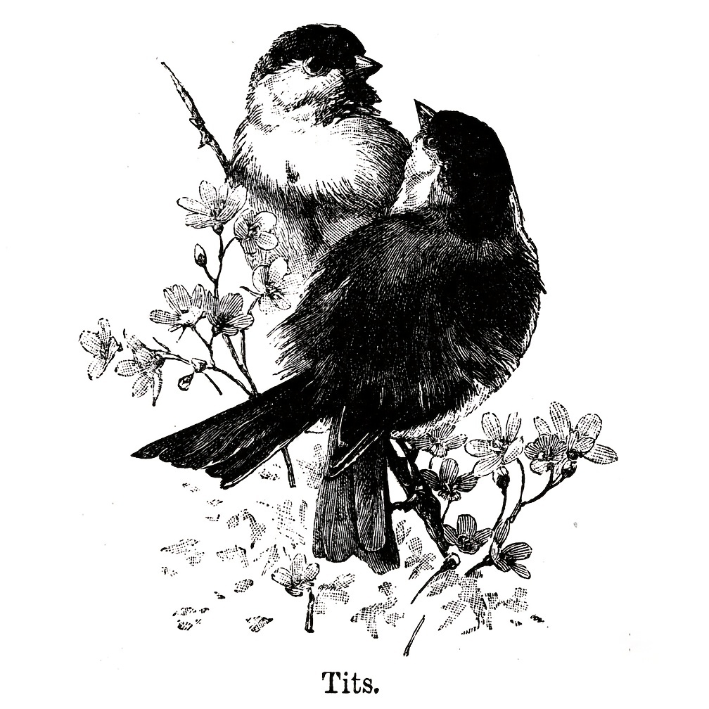 Прозрачные штампы с надписью « – обзор и цена Clear Silicone Stamps For Card Making